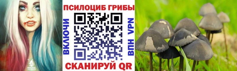 Купить закладки  Бокситогорск  Галлюциногенные грибы GOLDEN TEACHER 